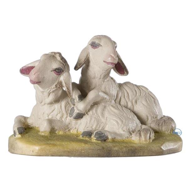 Group of 2 sheep lying - COLOR