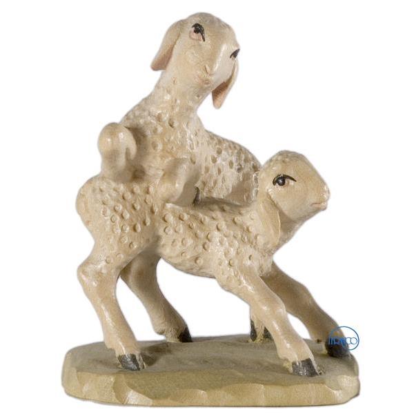 Group of 2 lambs - COLOR